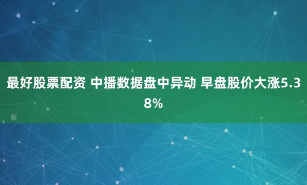 最好股票配资 中播数据盘中异动 早盘股价大涨5.38%
